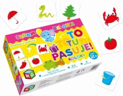 Color Puzzle - This Fits Here