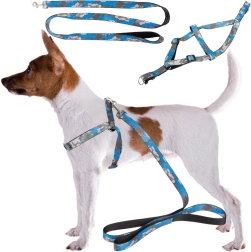 Verstellbares Geschirr mit Leine für Hunde und Katzen – komfortables Set