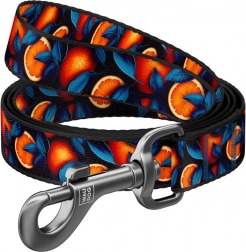 Nylon Dog Leash with Orange Design 122 cm Waudog