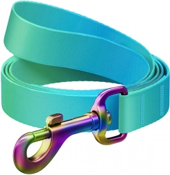 Waudog gradiënt nylon hondenriem, blauw, 20 mm breed, 122 cm lang