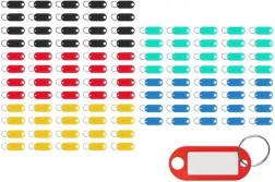 Satz farbiger Schlüsselanhänger - 100 Stück