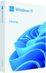 Windows 11 Famille 64 bits Clé USB