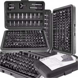 100-teiliger Bitsatz mit Etui – TORX, Inbus, Tri‑Wing, Spanner