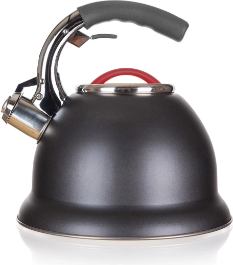 Fluit die het kookpunt meldt