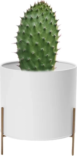 Cache-pot métallique blanc avec support doré 17 cm