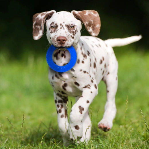 Kontrastreiche Farben für einfaches Verfolgen