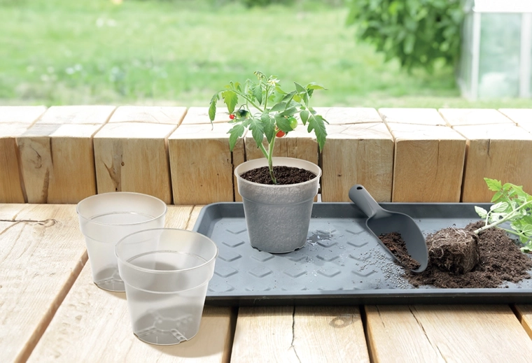 Idéal pour les petites plantes et semis