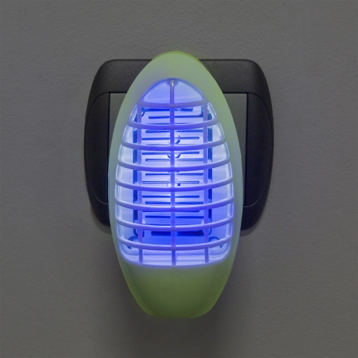 UV light attracts small insects