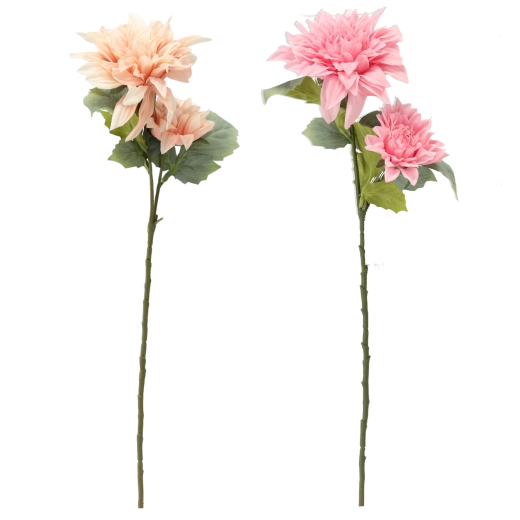 Apparence réaliste sans entretien