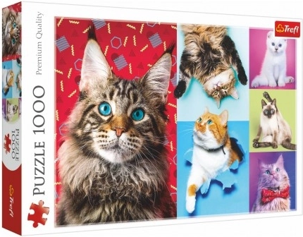 Puzzle Chats heureux 1000 pièces 68,3 x 48 cm en boîte 40 x 27 x 6 cm
