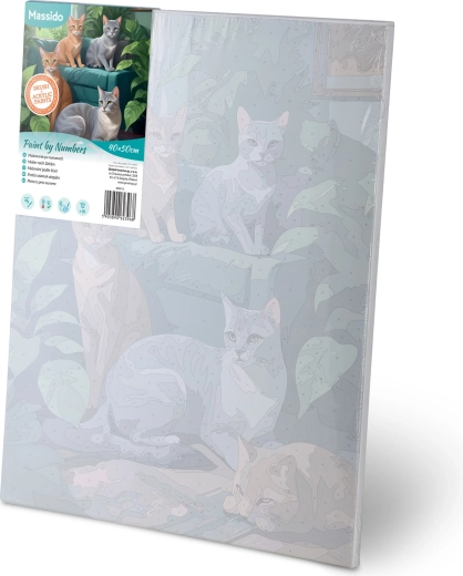 Pre-stretched canvas on frame and numbered areas