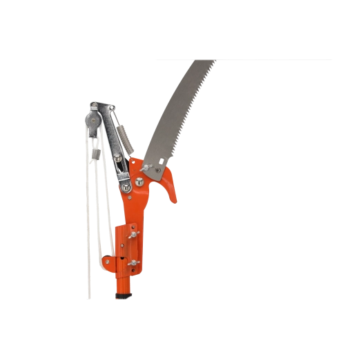 Système double : sécateur + scie courbe