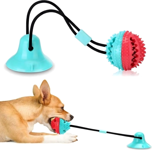 Teeth cleaning and gum massage