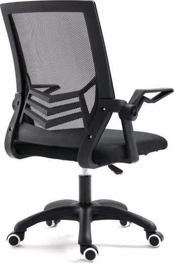 Ergonomische Rückenstütze
