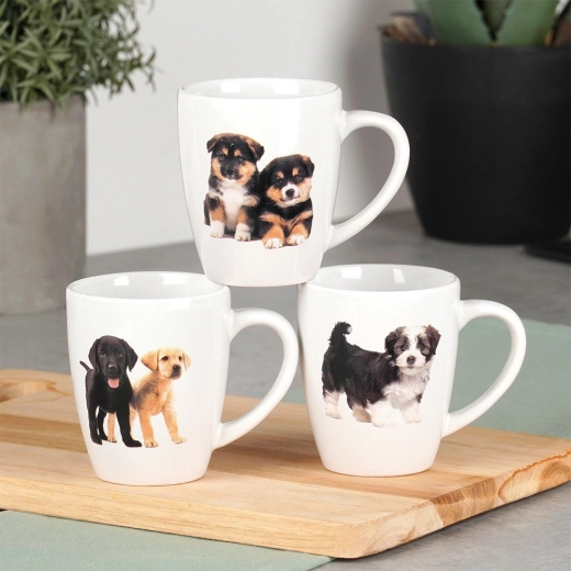 Entretien sans souci : lave-vaisselle et micro-ondes