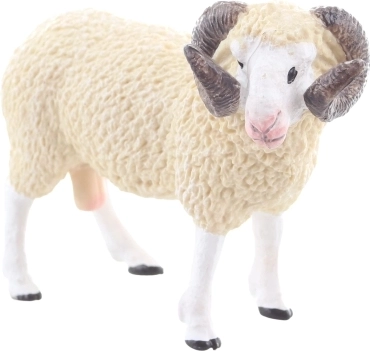 Taille idéale pour les petites mains