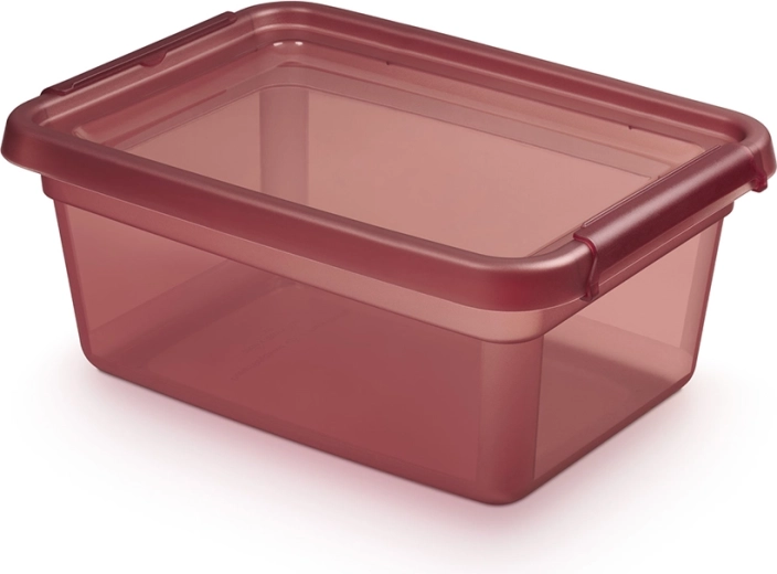 BASESTORE opbergbox van plastic met deksel en clips 12,5 l rhubarb