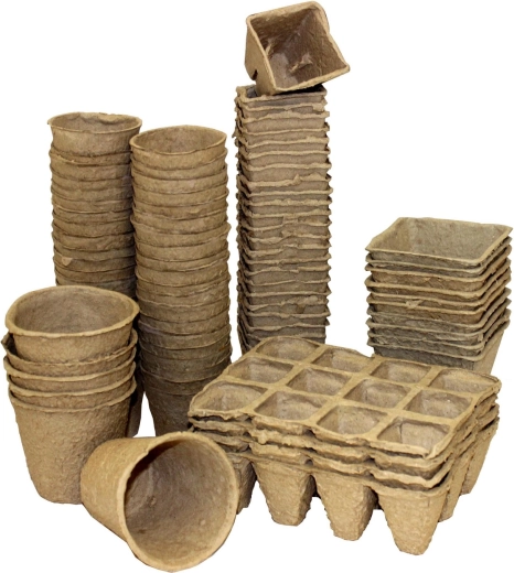 Optimale Umgebung für Setzlinge