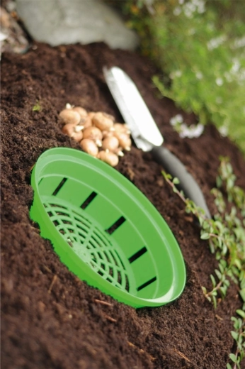 Easy removal and transplanting