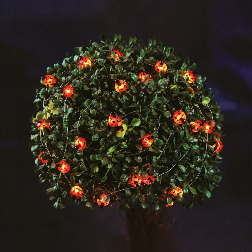 Solarlledlichtsnoer met lieveheersbeestjes, 2,4 m, 25 leds, warm wit