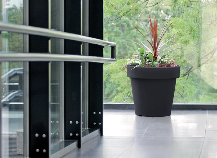 Large volume for healthy plant growth