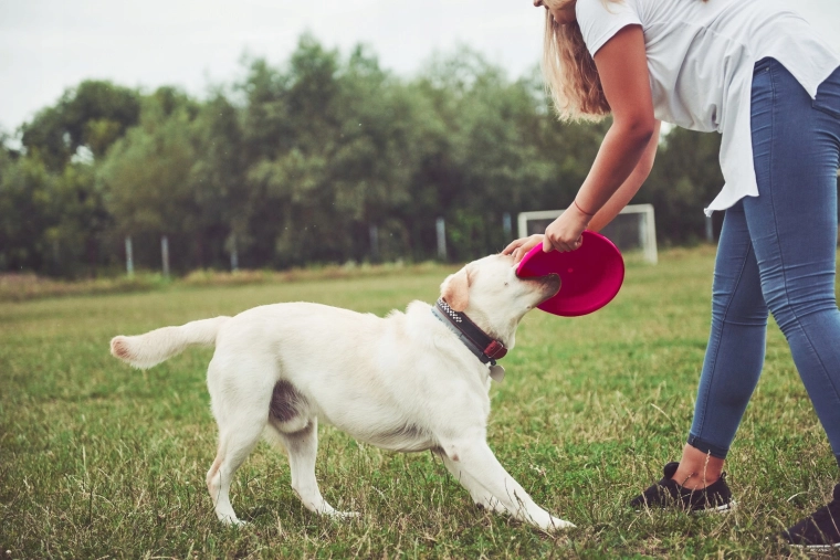 Hohe Sichtbarkeit im Park und in der Luft