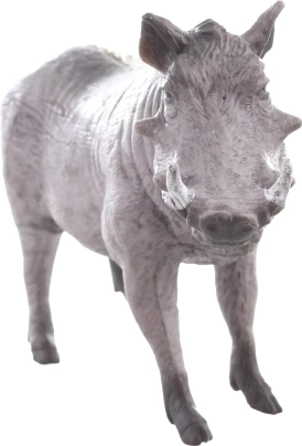 Ideaal voor educatie en verzameling