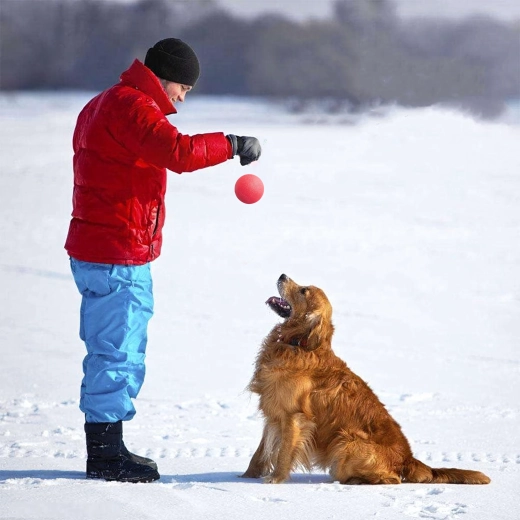 Geweldig om te apporteren, ook in het water