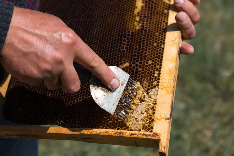 Pointes inox précises pour un désoperculage net