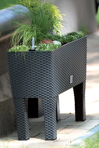 Structure surélevée pour une culture confortable