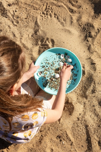 Practical tray for collecting shells and small finds