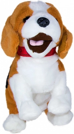 Responds to voice and follows commands