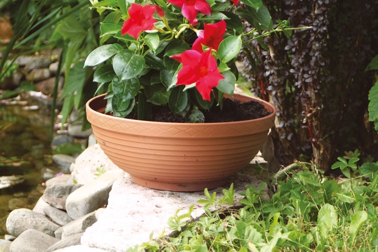 Voor in huis en in de tuin