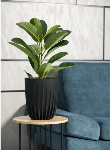 Modern geribd design