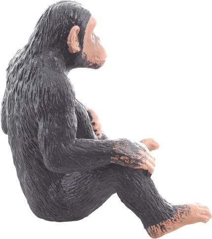 Geweldig voor educatie en creativiteit