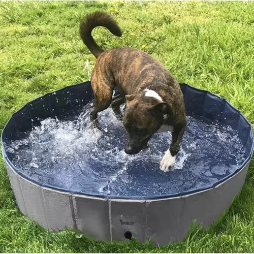 Universeller Pool und Wanne für den Hund