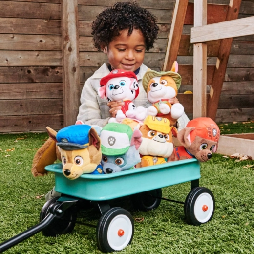 Heldin aus Paw Patrol