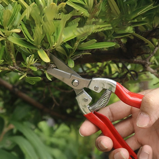 Mécanisme à ressort pour une coupe facile
