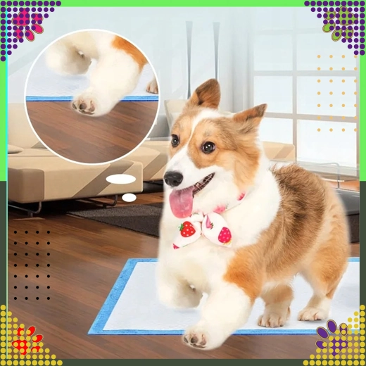 Großes Format für Komfort und Sicherheit