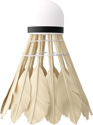 Stabiele en snelle vlucht dankzij eendenveren