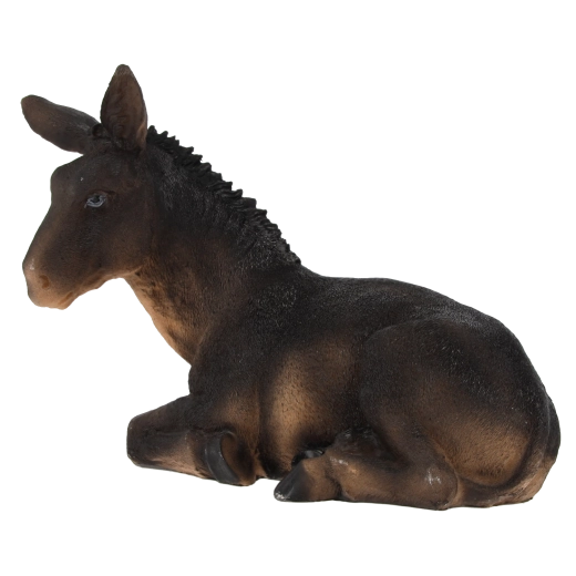 Realistic details and natural colors