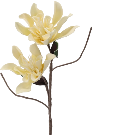 Decorative chrysanthemum flower with 2 blooms, 86 cm, white
