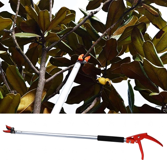 Einfaches Schneiden in der Höhe ohne Leiter