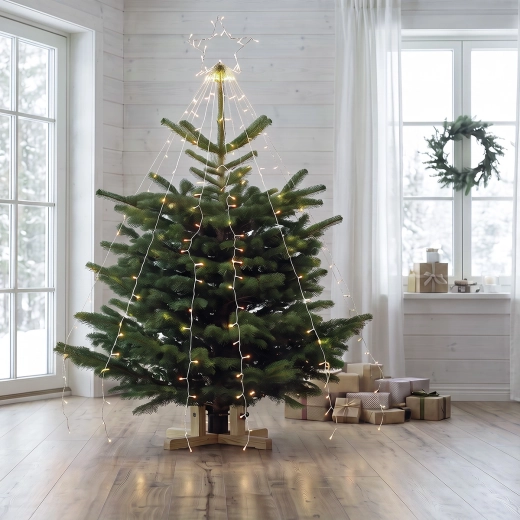 Étoile et huit guirlandes lumineuses