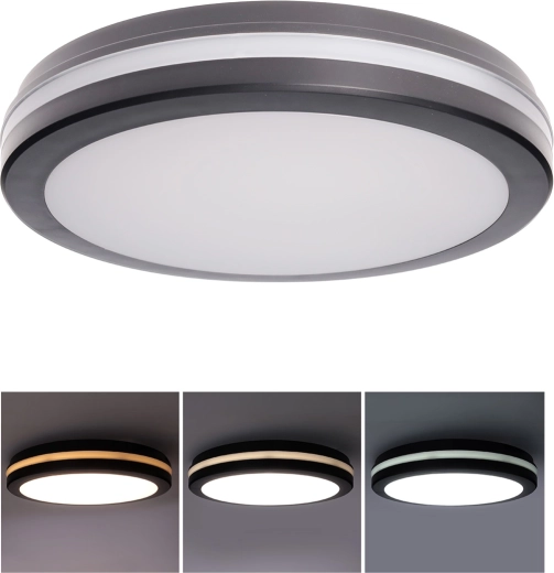 Solight LED plafond-/wandlamp IP65 met instelbaar vermogen en lichtkleur 30 cm