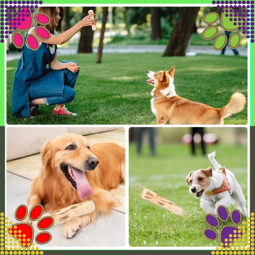 Plezier binnen en buiten