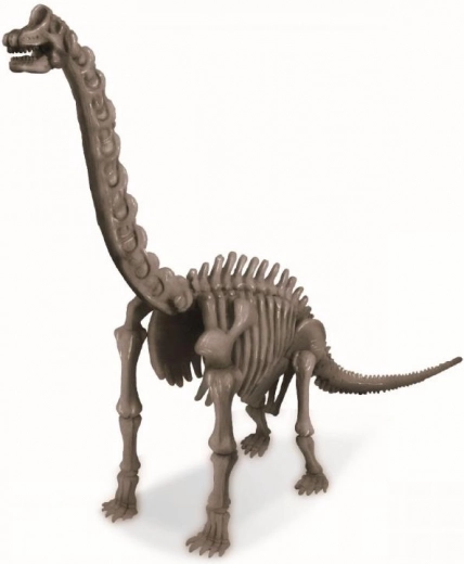Montierbares Brachiosaurus-Modell