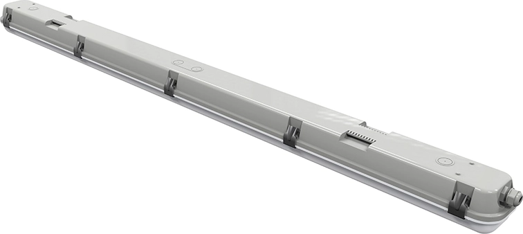 IP65 pour une utilisation intensive