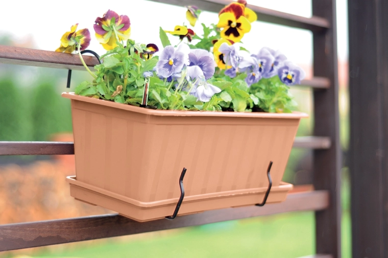 Ready for brackets and saucer