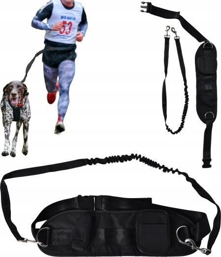 Course et marche mains libres avec un chien